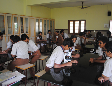 Vijaya Vittala-laboratory image